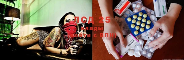 a pvp Вяземский