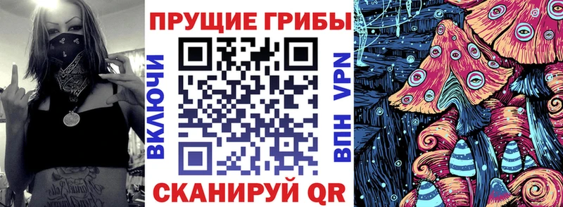 наркотики  Верхняя Салда  Псилоцибиновые грибы Cubensis 