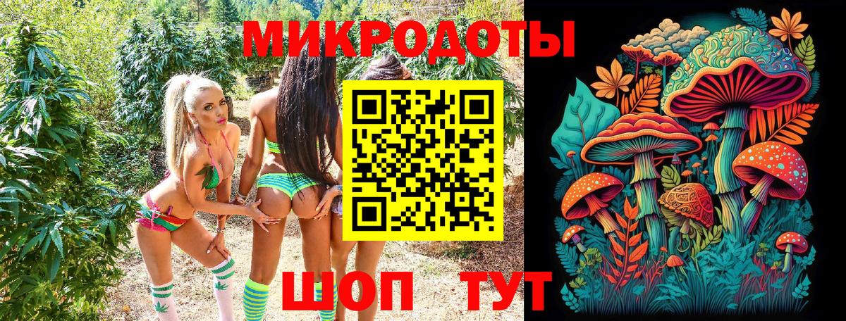 Галлюциногенные грибы Psilocybine cubensis  купить  цена  Верхняя Салда  Галлюциногенные грибы Magic Shrooms 