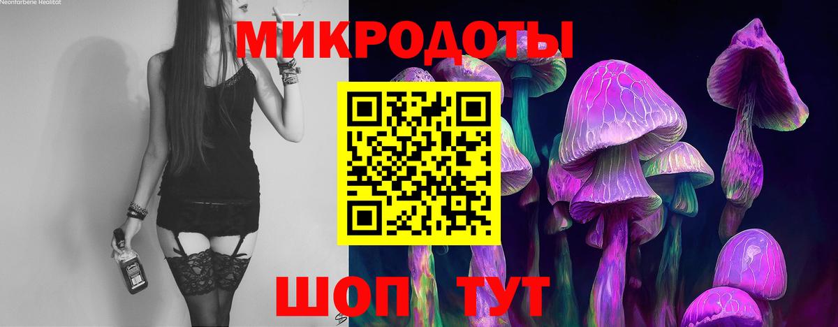 Псилоцибиновые грибы Psilocybe Верхняя Салда